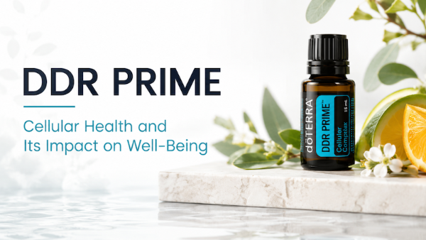 thumbnail DDR Prime – Cellular Health Presentation